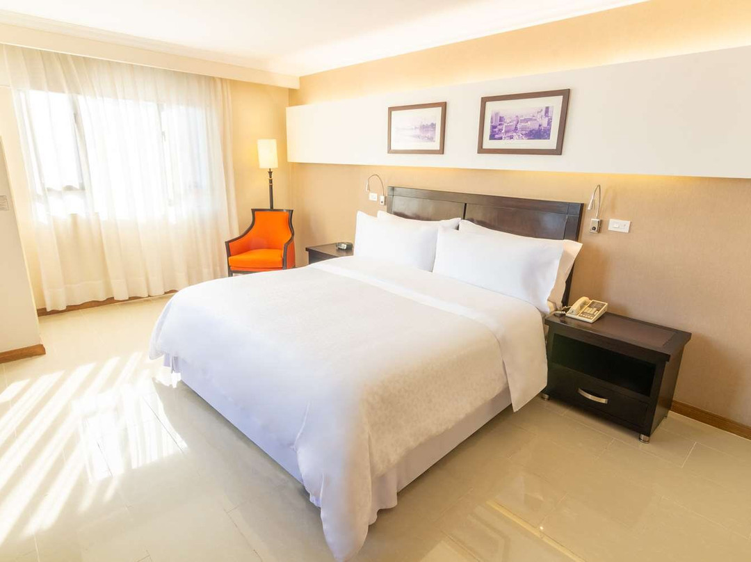 卡利酒店住宿-Sonesta Hotel Cali