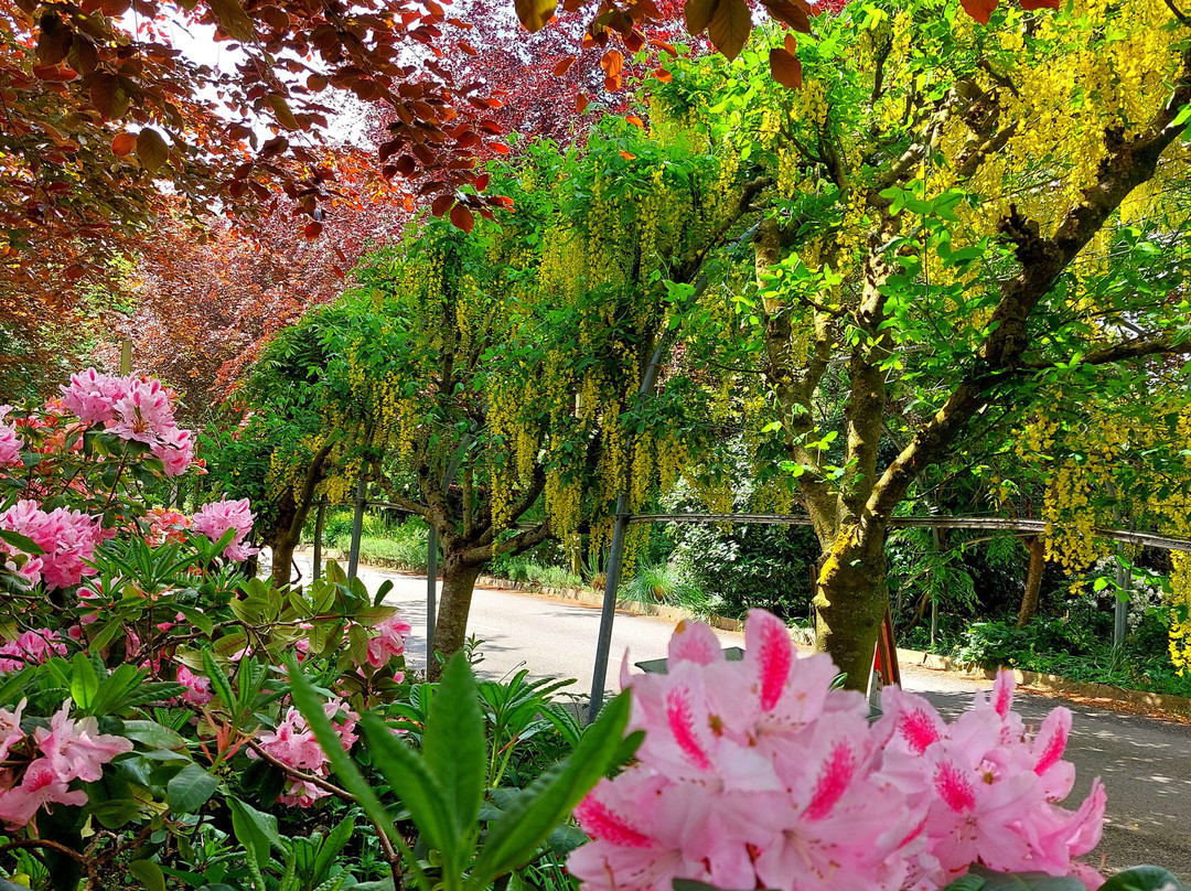 Oakgate Nursery & Garden Centre-Ellerdine必去景点