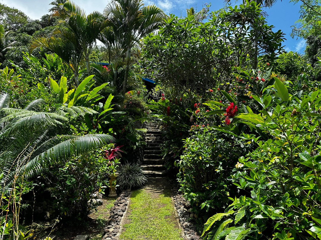 Levuka Homestay主图