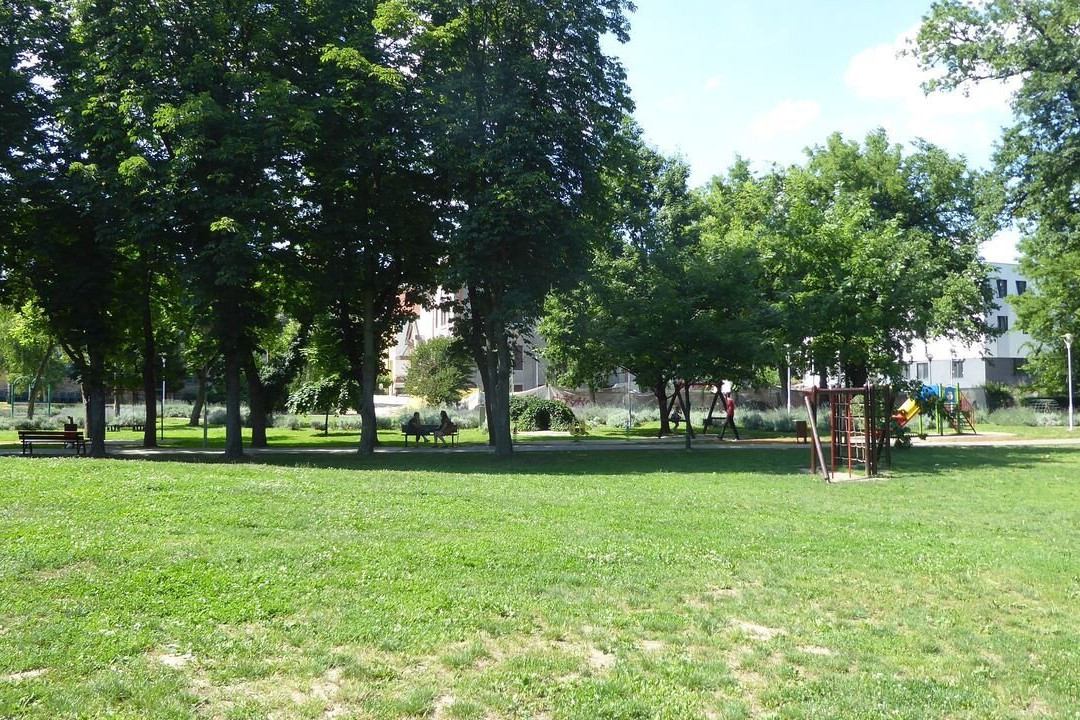 Parcul Copiilor景点图片