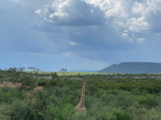 Travel Solutions Kenya-瓦塔木必去景点