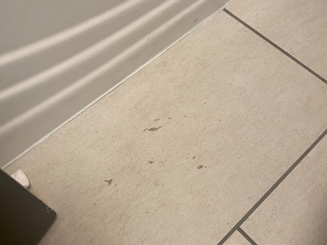 Holiday Inn Express & Suites Dyersburg by IHG主图