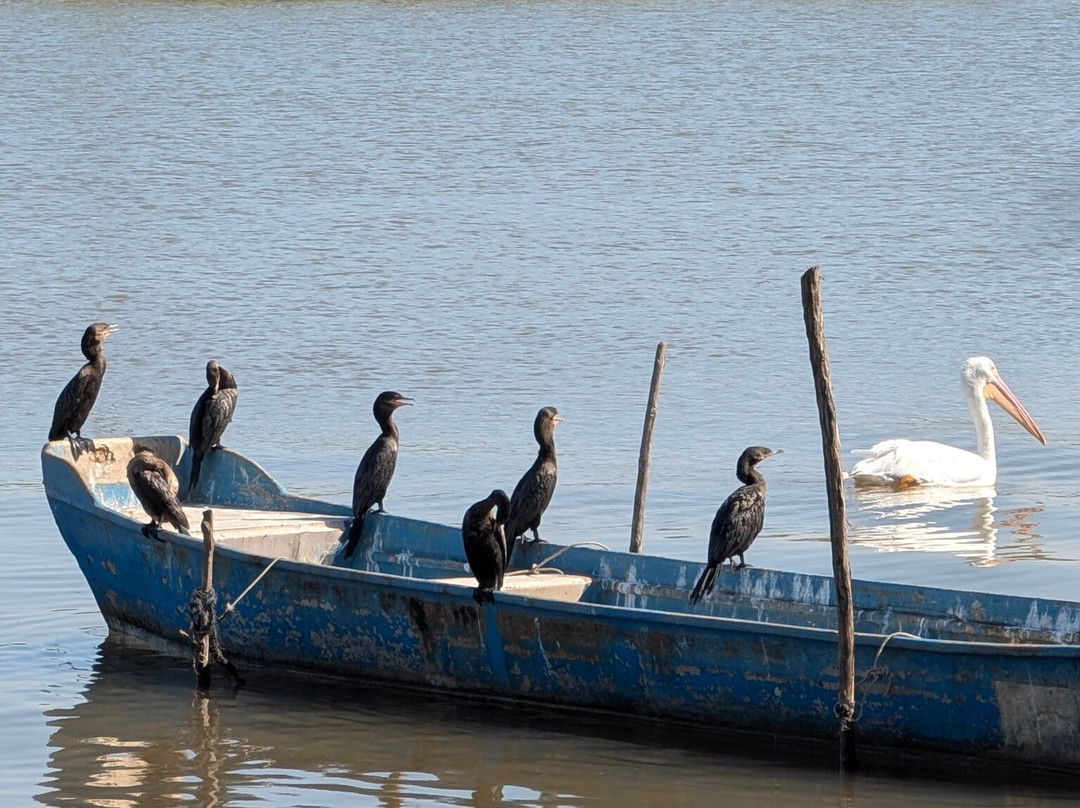 Mexcaltitan-太平洋海岸必去景点