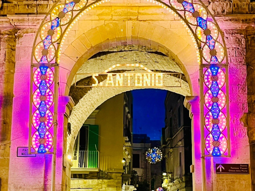 Molfetta Town-莫尔费塔必去景点