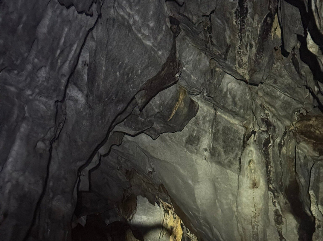 Puerto Princesa Underground River Day tour景点图片