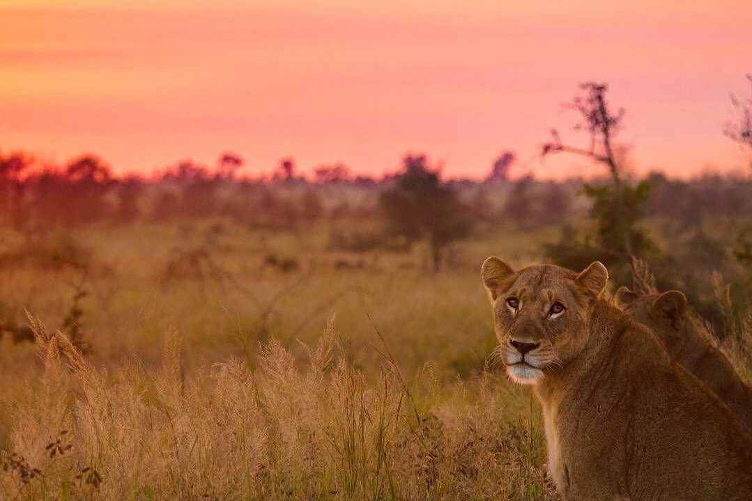 TourSouth.Africa-约翰内斯堡必去景点