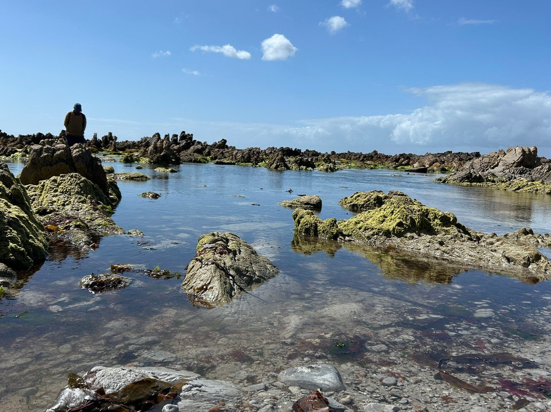 Stony Point Nature Reserve-Betty's Bay必去景点