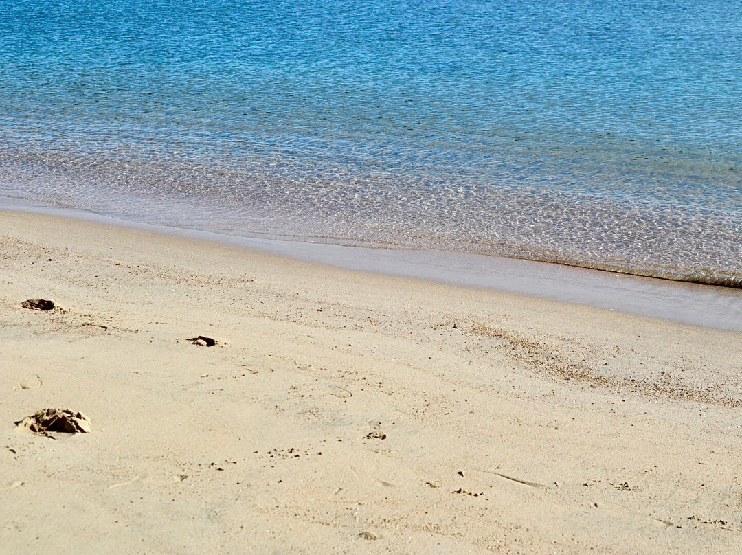Shinojima Beach景点图片
