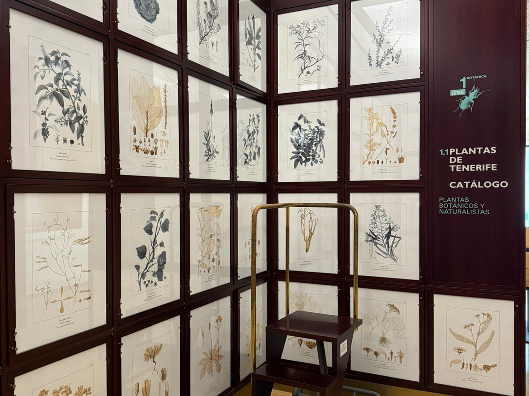 Museo de Naturaleza y Arqueologia景点图片