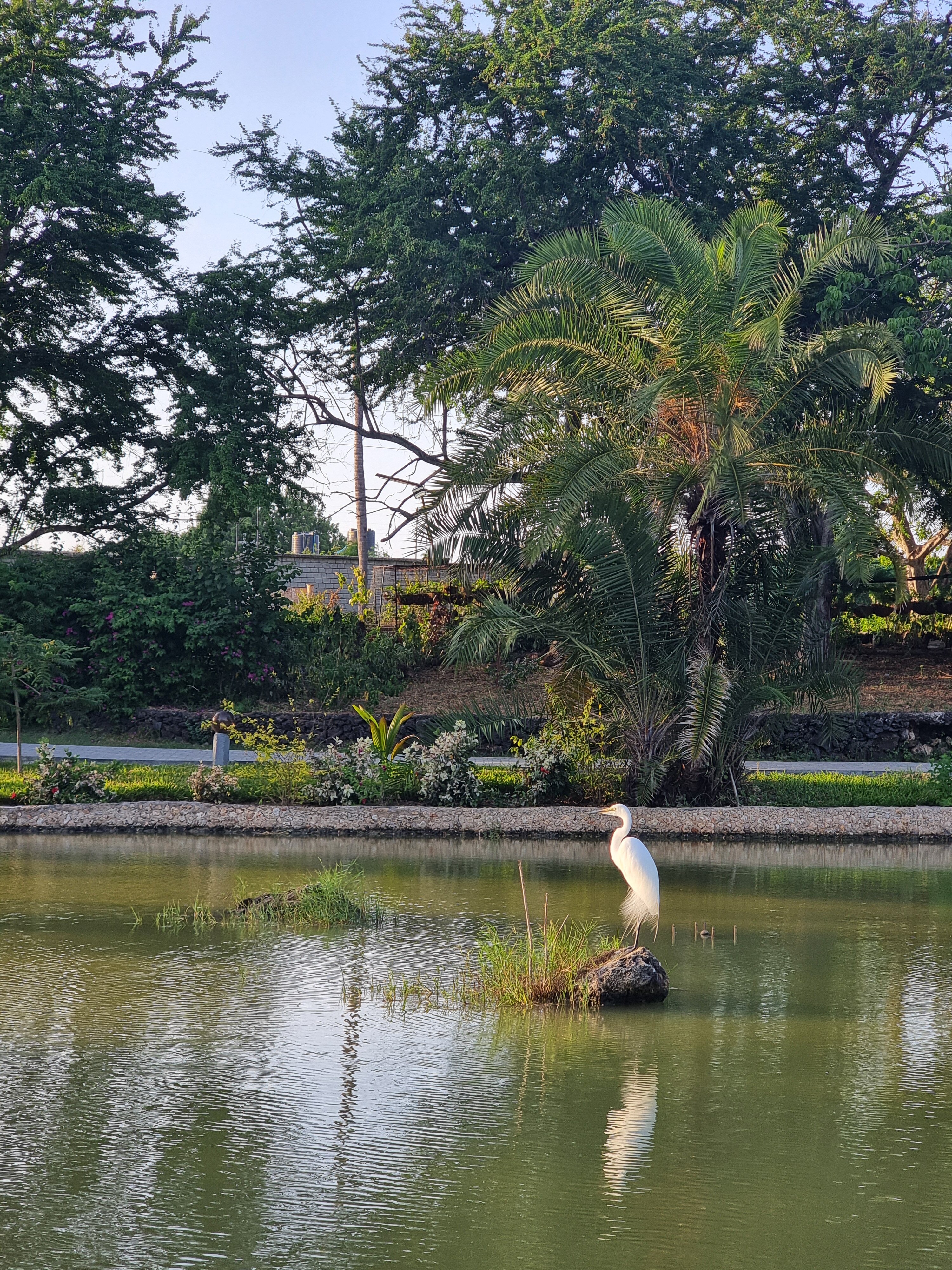 PrideInn Flamingo Beach Resort & Spa-浴室
