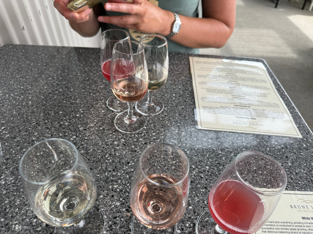 Bruny Island Premium Wines景点图片