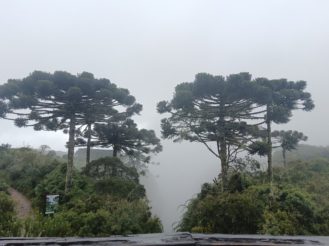 Canyons do Sul-Praia Grande必去景点