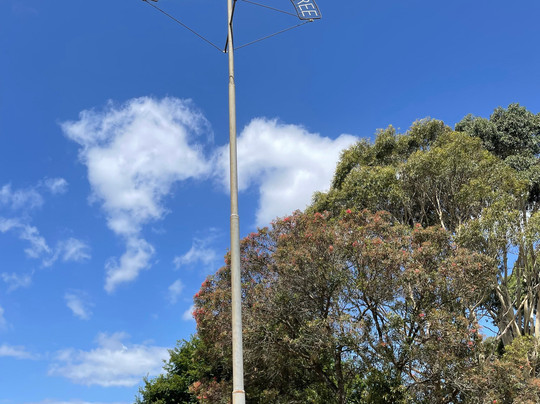 Site Of The World's Tallest Tree-Thorpdale必去景点