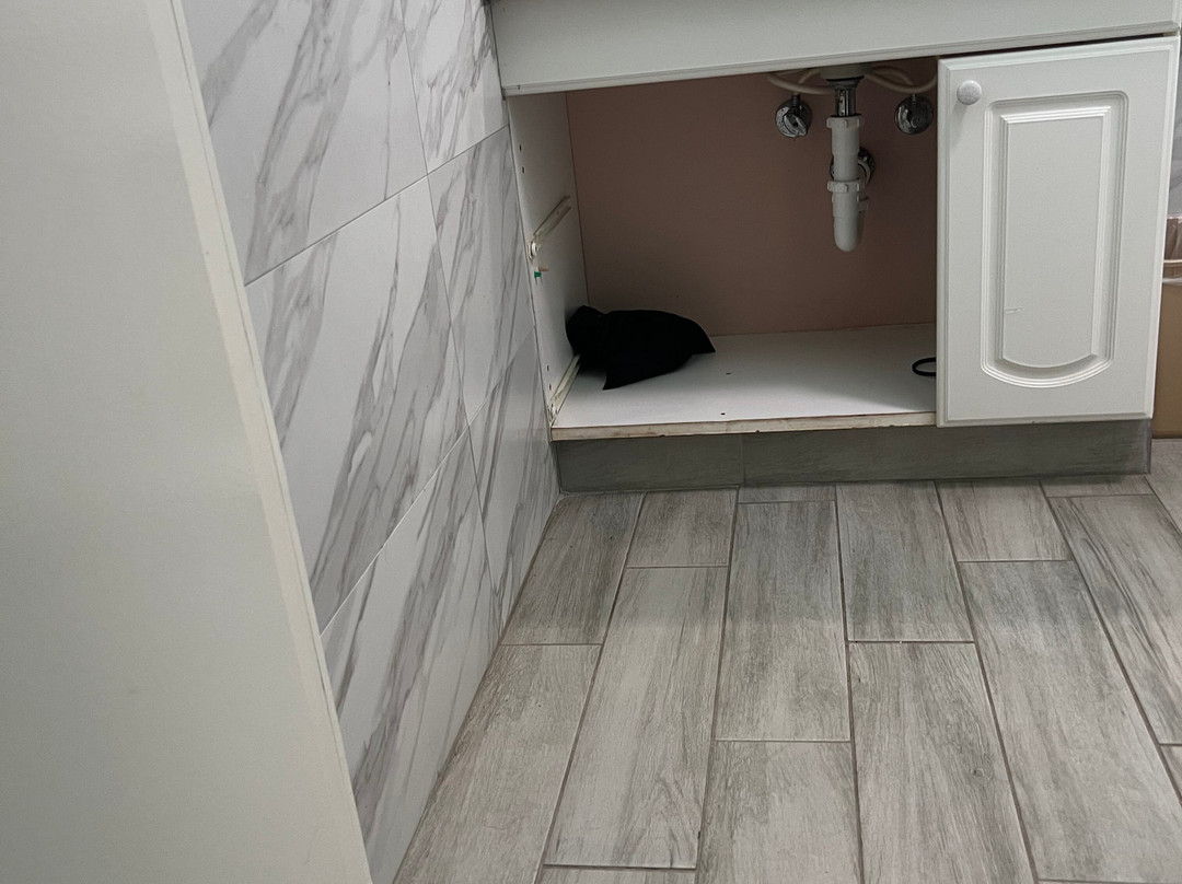 Island Hotel Port Aransas主图