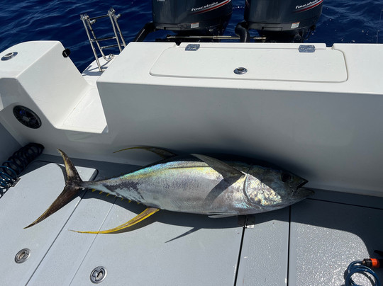 Locals Offshore Fiji-丹娜努岛必去景点
