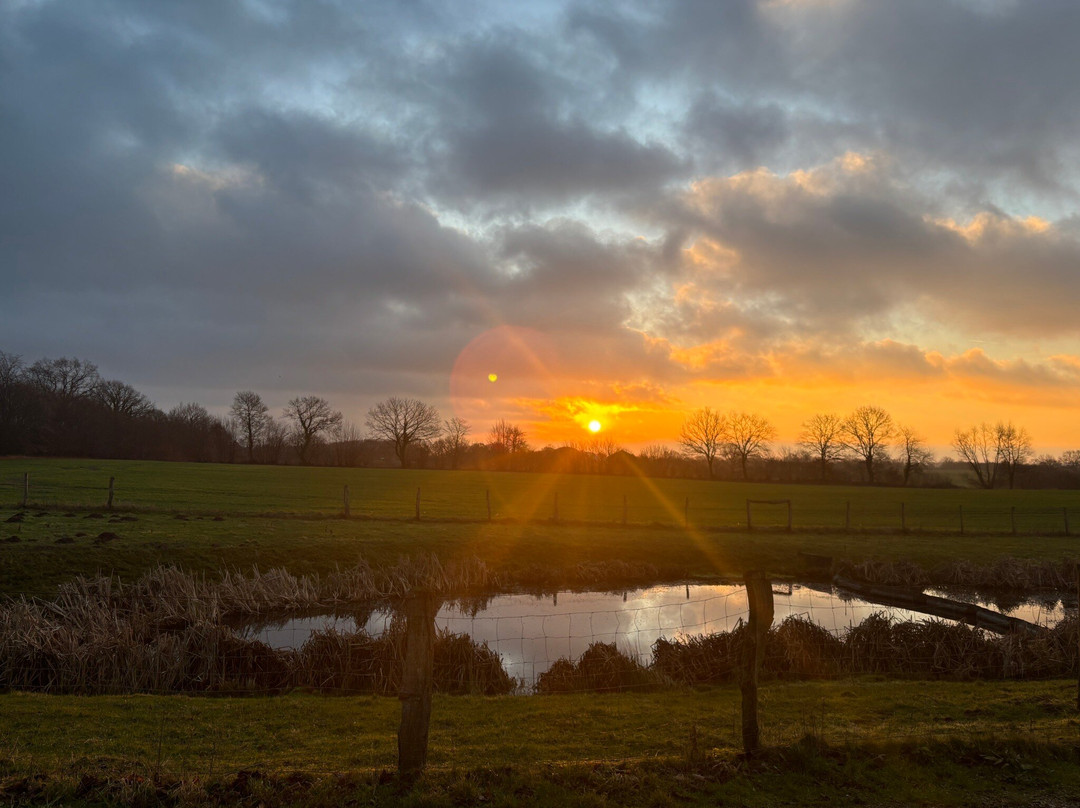 Hotel Zum alten Bahnhof主图