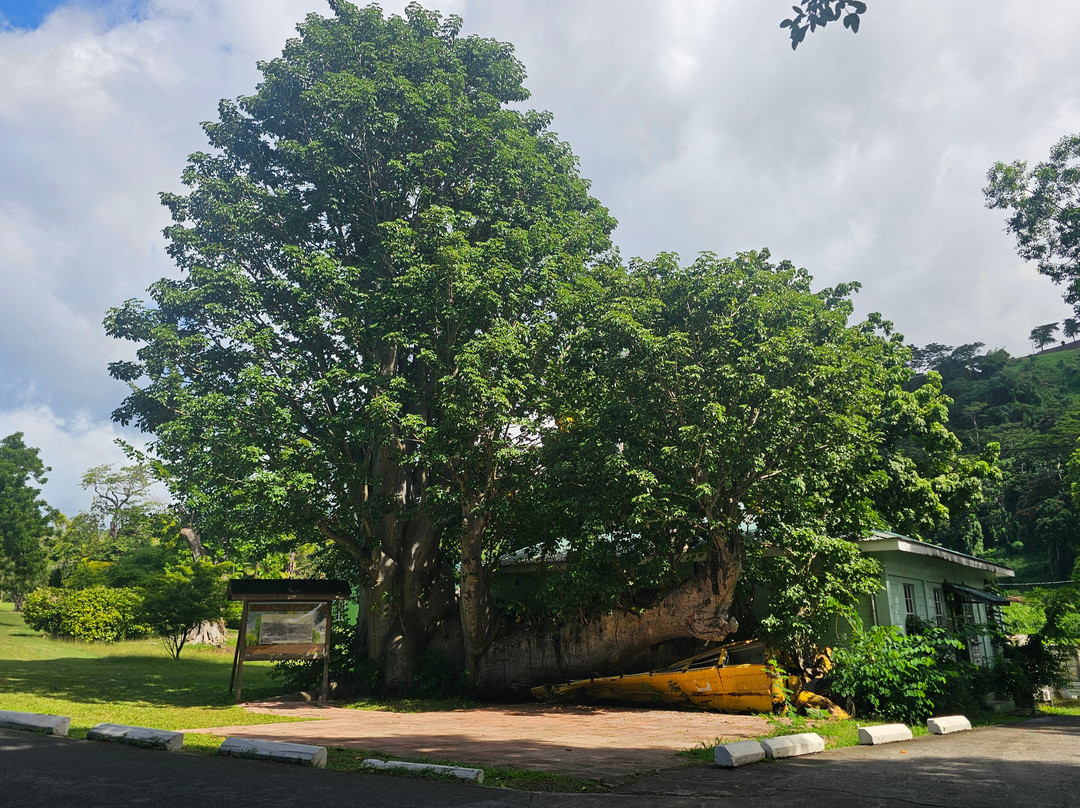 Dominica Botanic Gardens-罗索必去景点