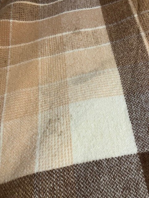 Roundhouse Motel主图