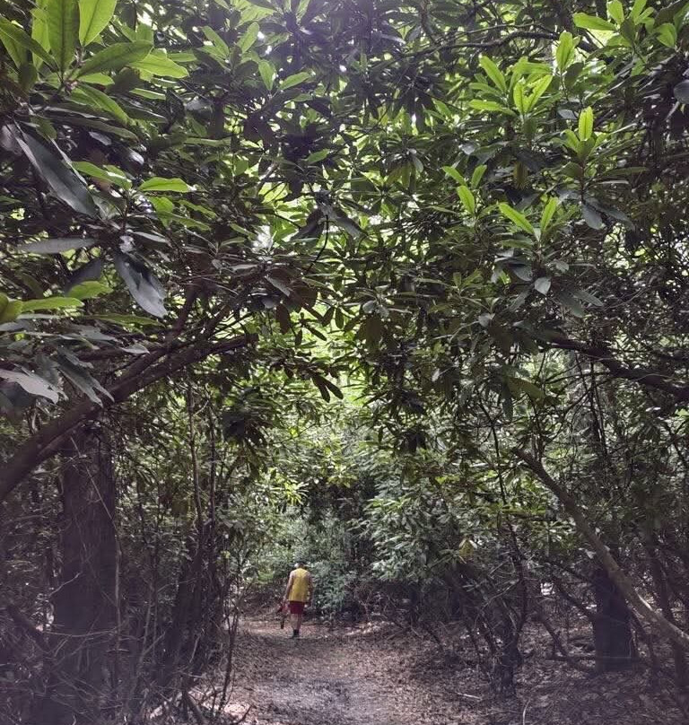 Little Beaver State Park-Beaver必去景点