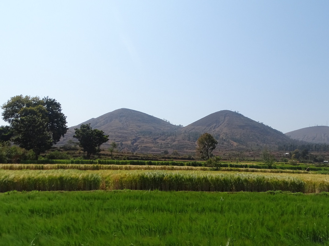 Rizières des Hauts Plateaux景点图片