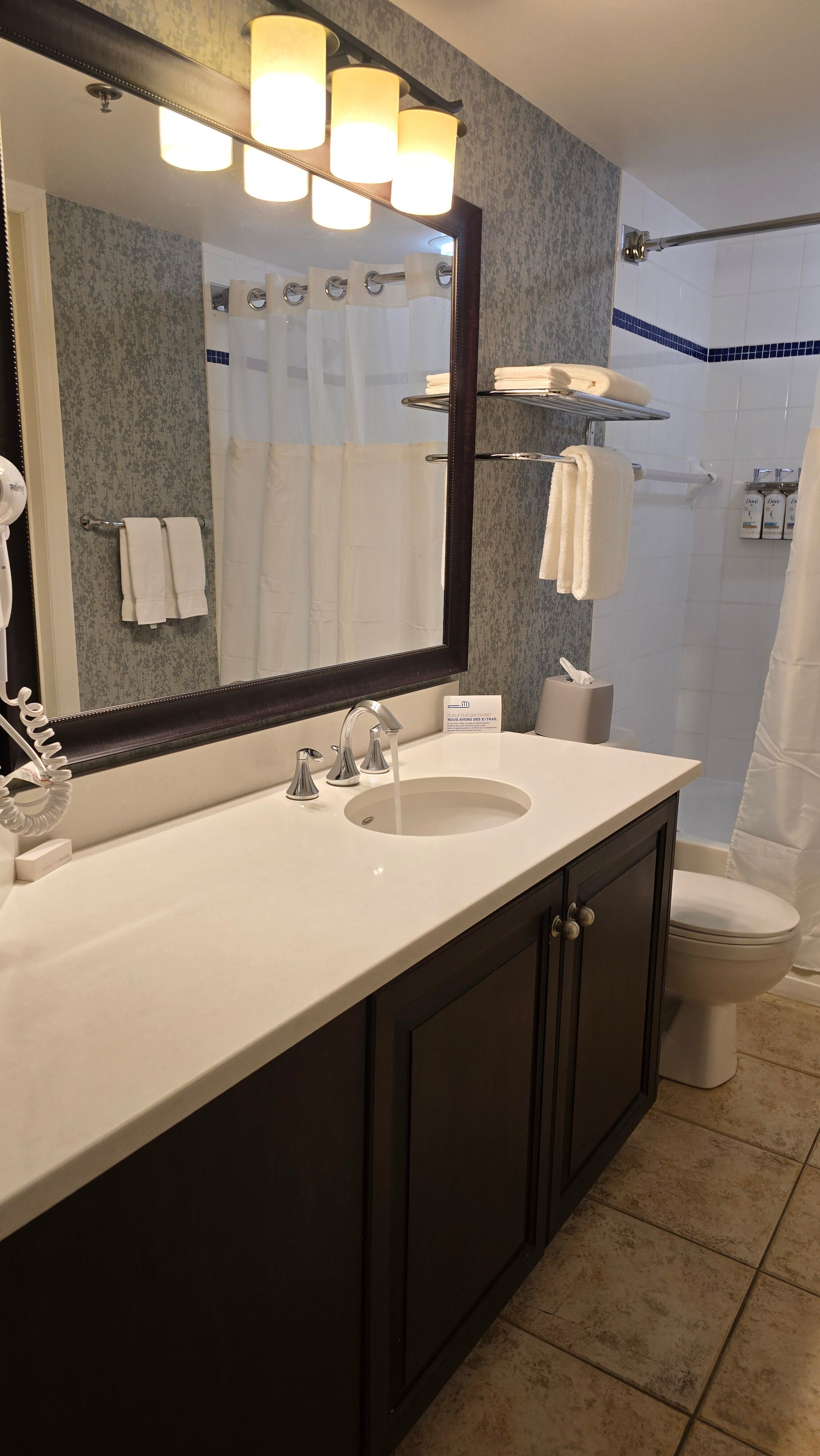 Holiday Inn Express & Suites Tremblant By IHG-浴室