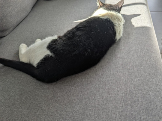 Hyde Park Lane主图