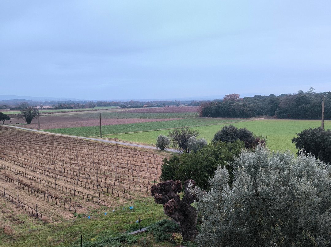 La Ferme de Palumiane主图
