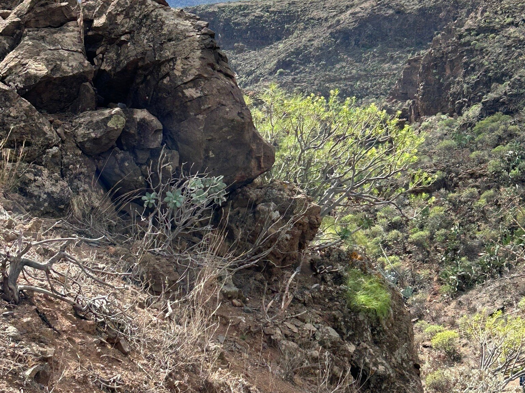 Barranco de Las Vacas景点图片