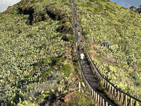 Just Go Tours-沙尔必去景点