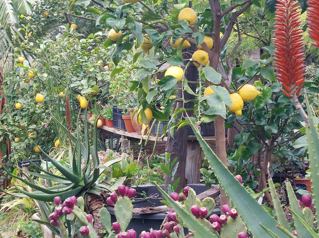 Maison Gannac-芒通必去景点