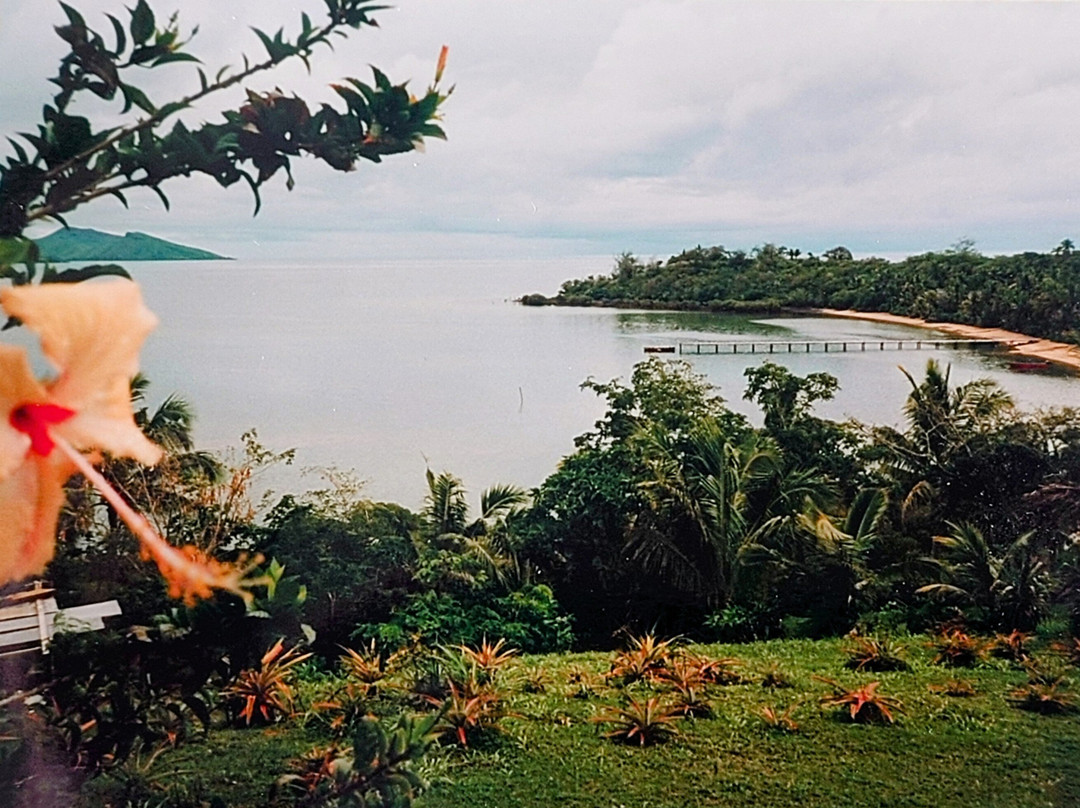 Charlies Place主图