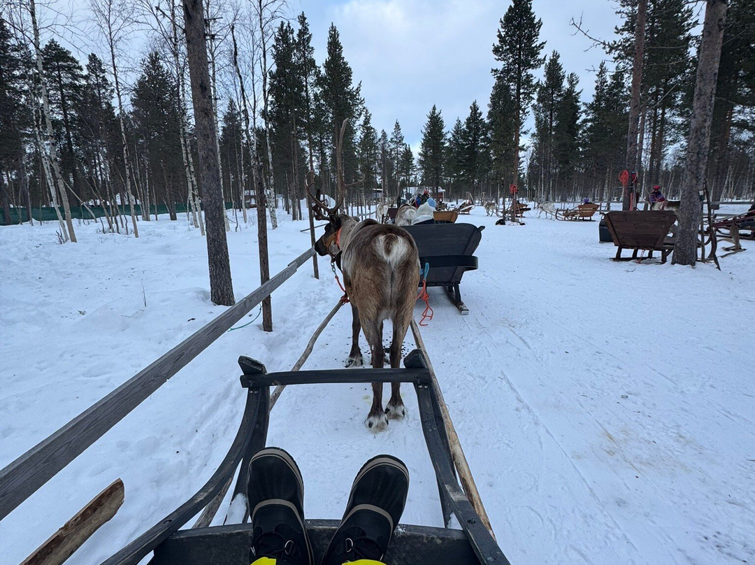 Polar Lights Tours-Sirkka必去景点