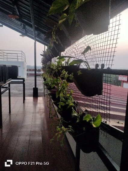 Treebo Sans Sarav Kushalnagar主图