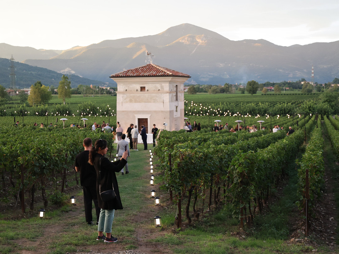 Azienda Agricola Fratelli Berlucchi景点图片