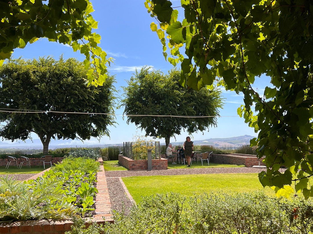 Longridge Wine Estate-西索美塞必去景点