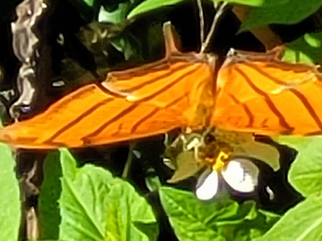 Burt Aaronson South County Regional Park-博卡拉顿必去景点