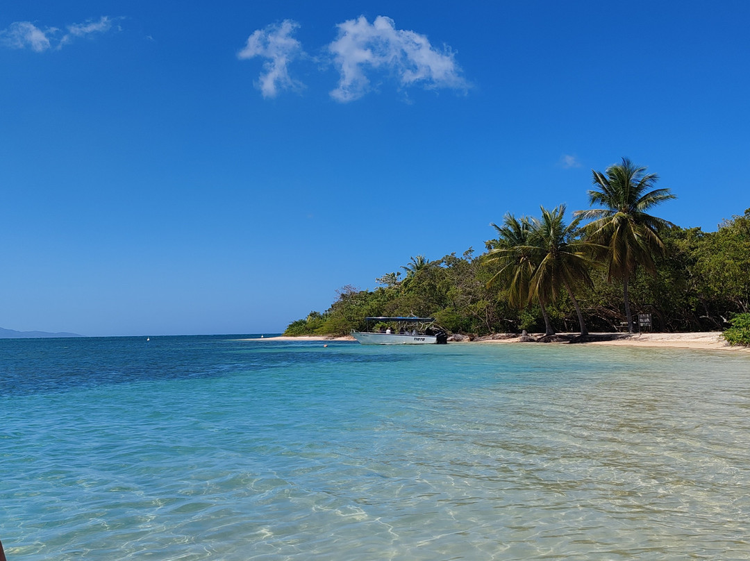 La Berceuse Creole主图