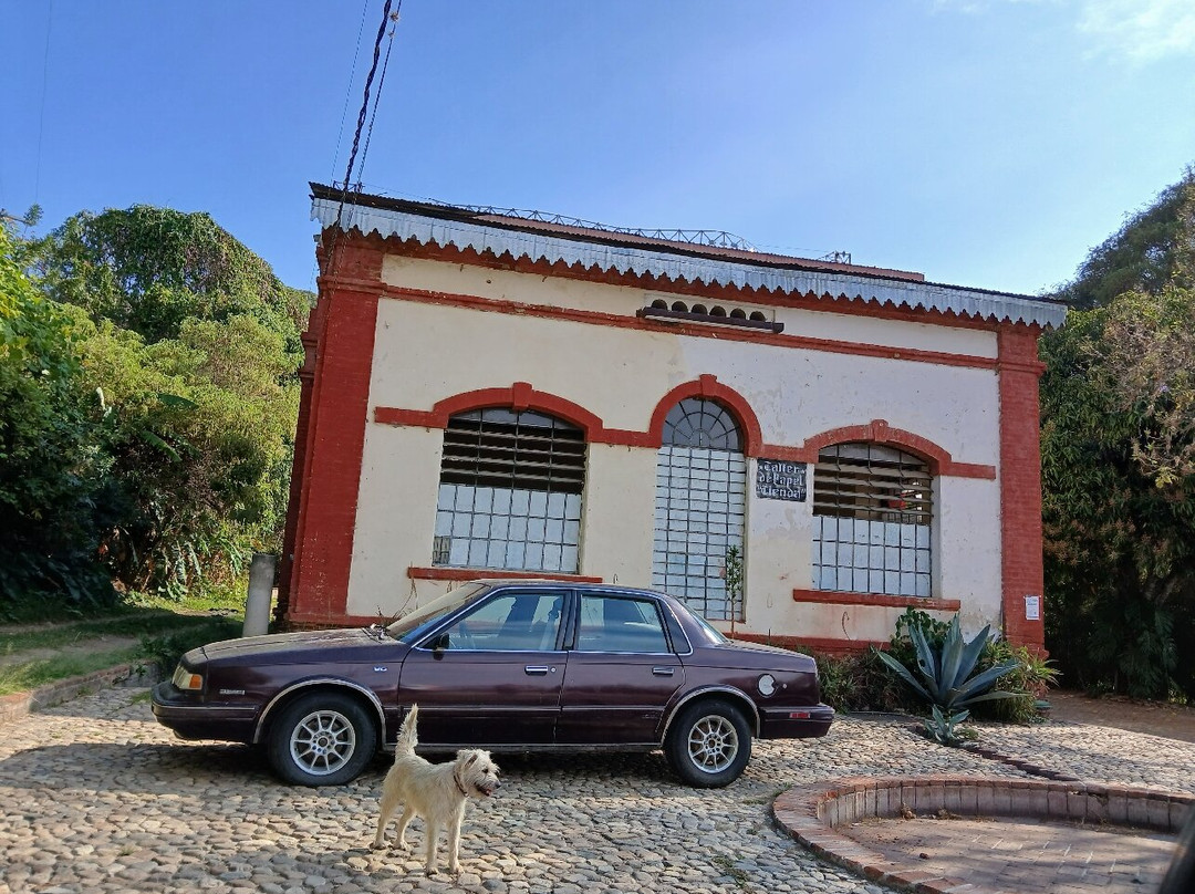 Taller de Arte Papel Oaxaca景点图片