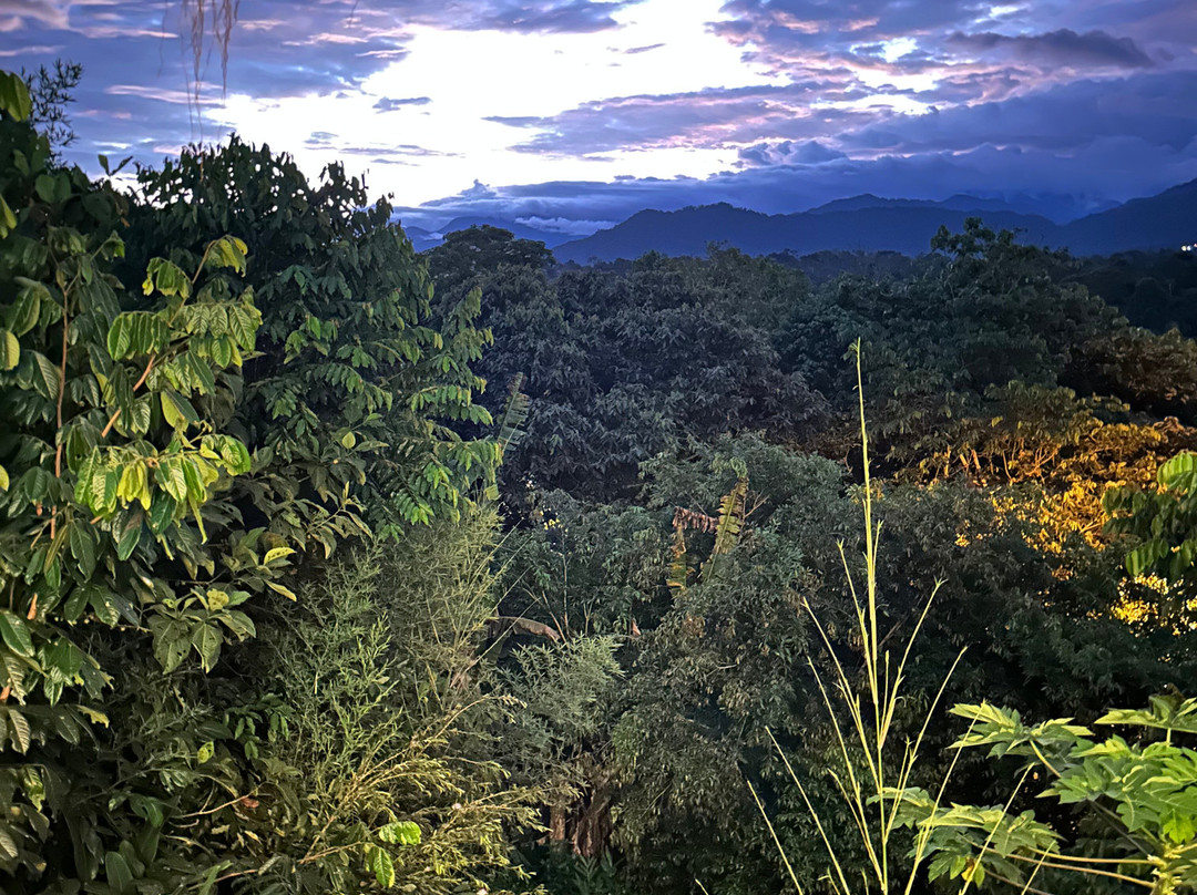 Kayak Ecuador景点图片