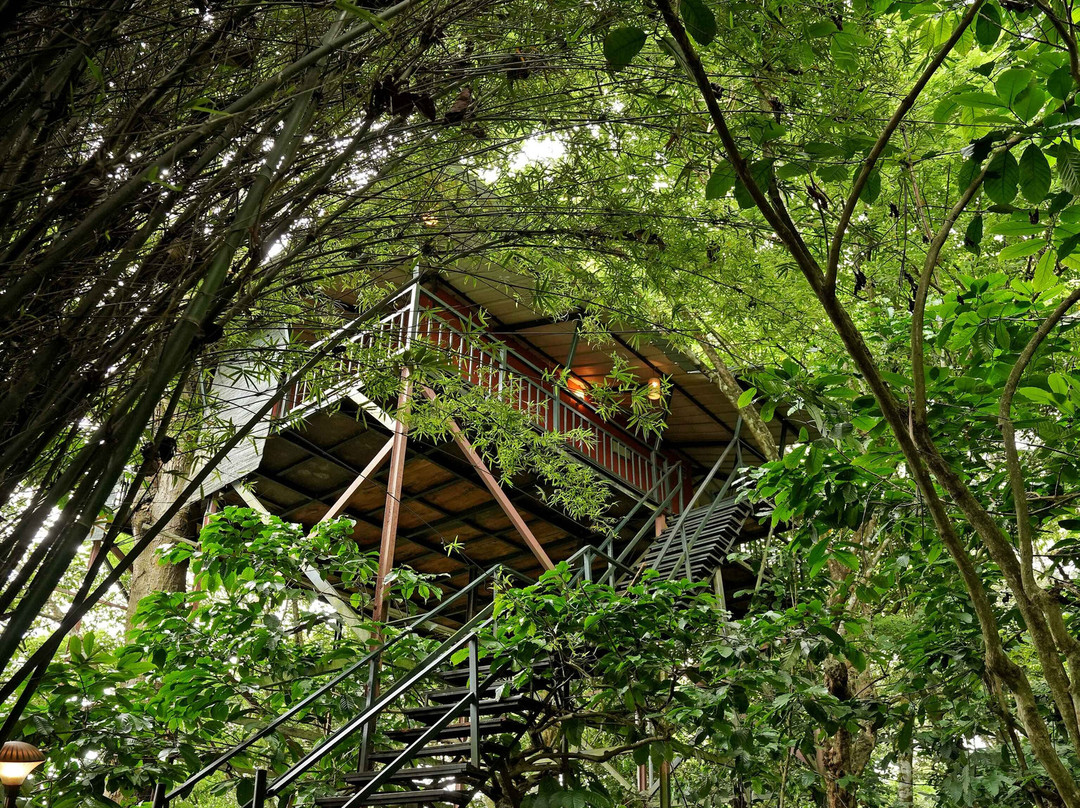 Coffee Acres Plantation Resort主图