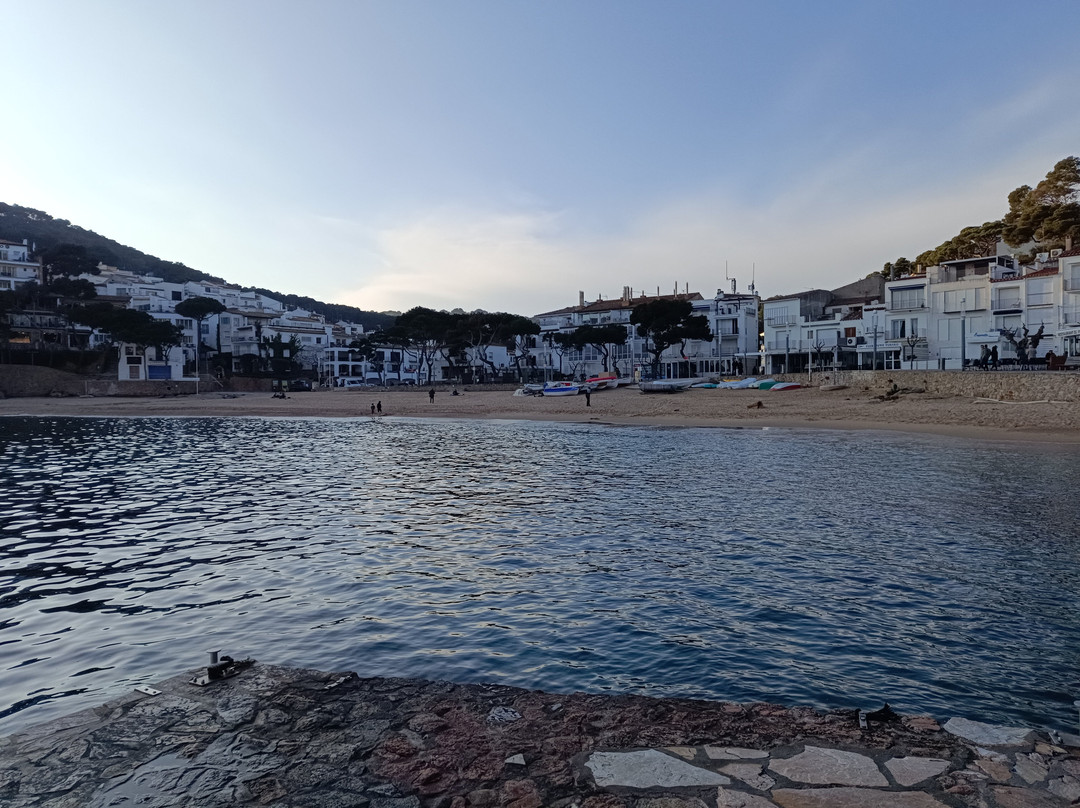 Tamariu Beach景点图片