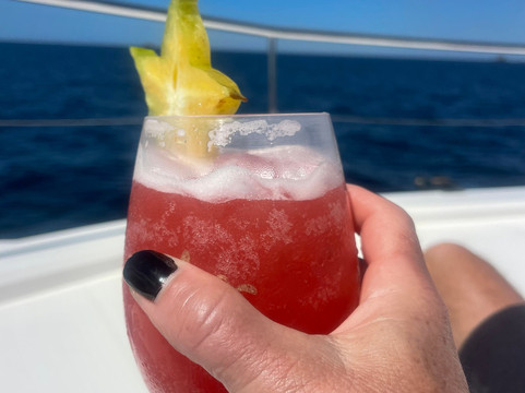 Royal Charters: The Premier Yacht Charter in Costa Rica-Playa Flamingo必去景点