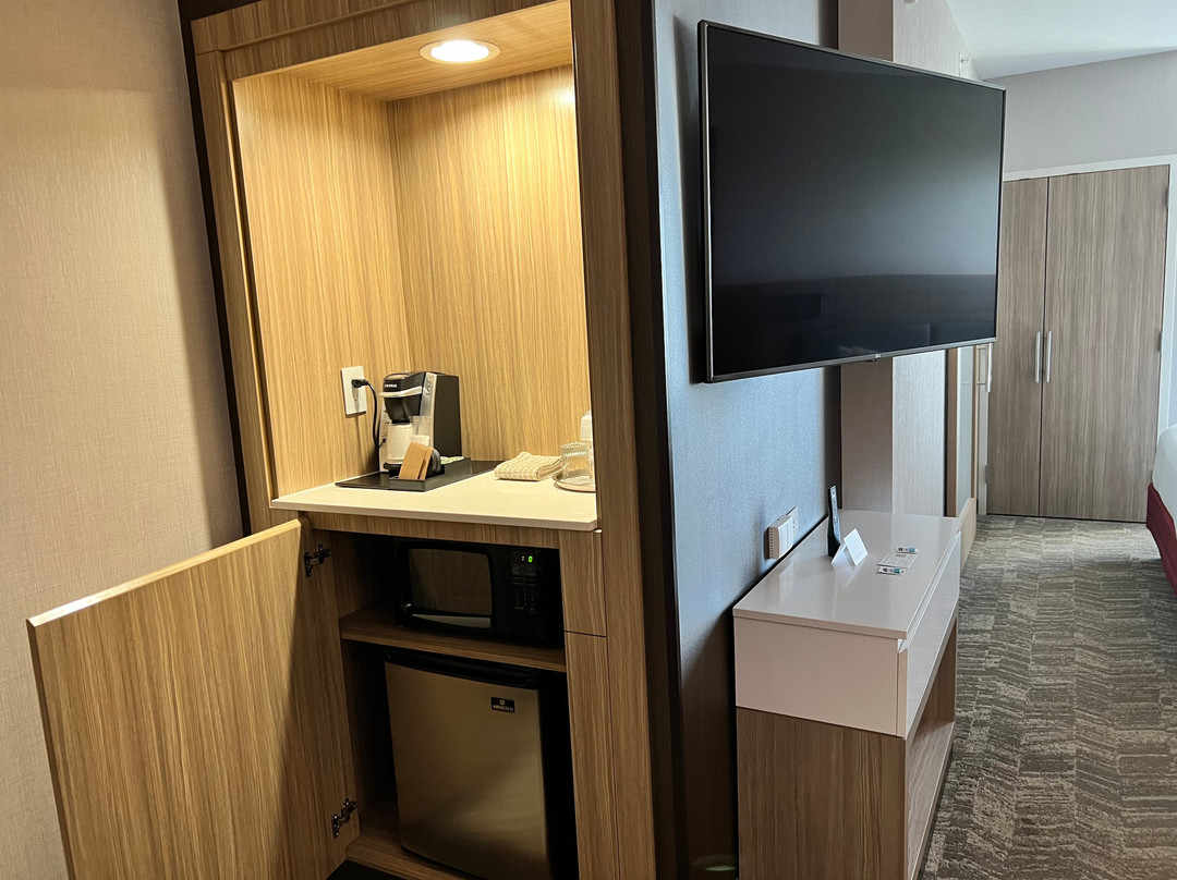 SpringHill Suites by Marriott Punta Gorda Harborside主图