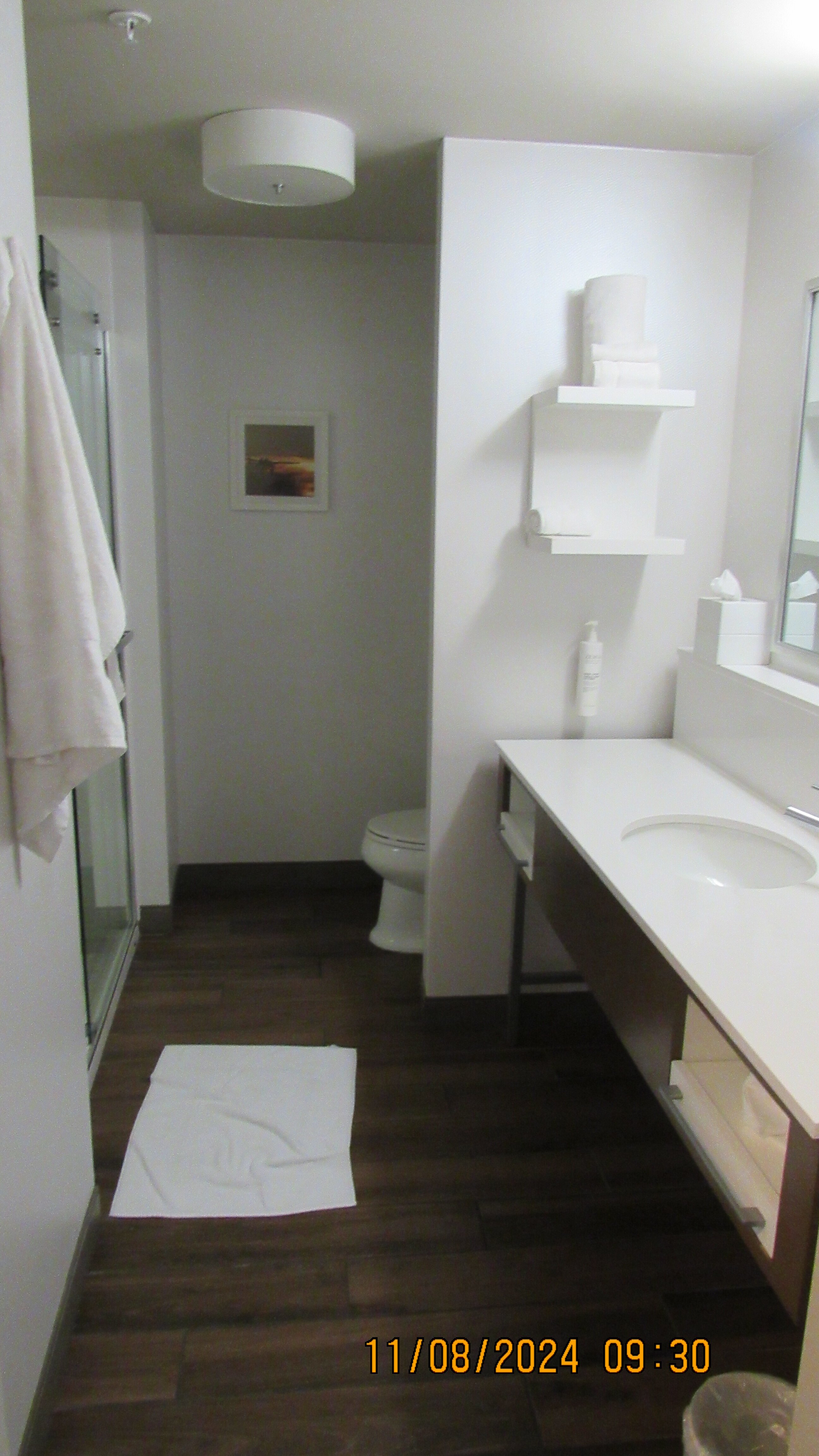 Hampton Inn  Livonia Detroit-浴室