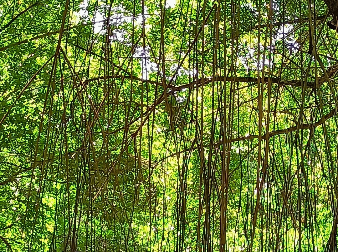 NG & Company Nature Tours-Speyside必去景点