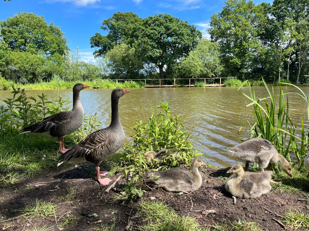 Elmbridge Farm