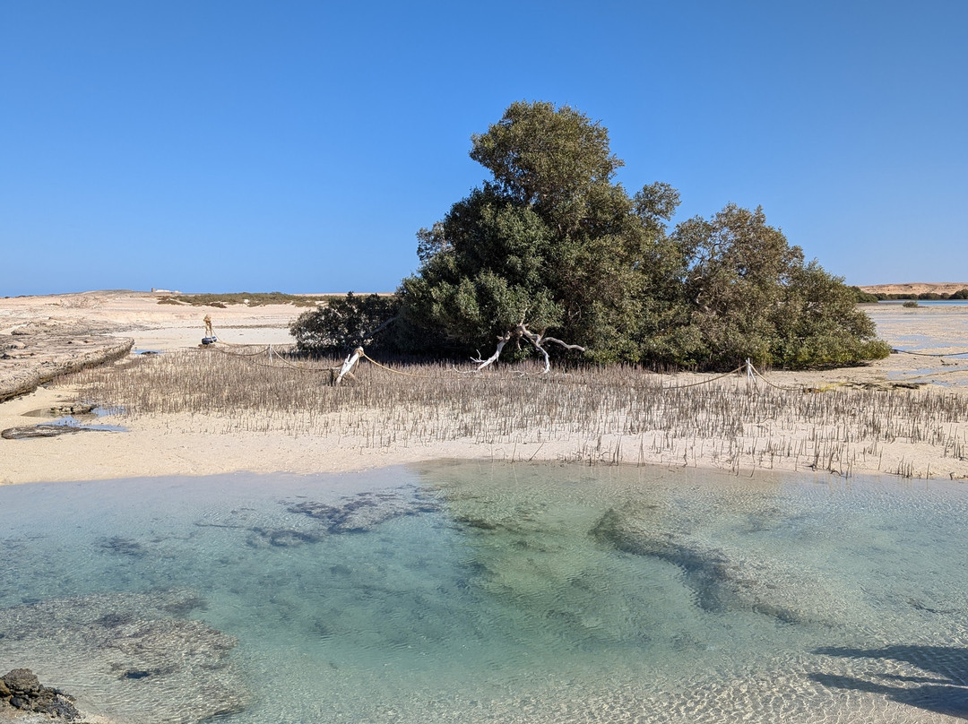 Wadi El Gemal National Park-马萨阿拉姆必去景点