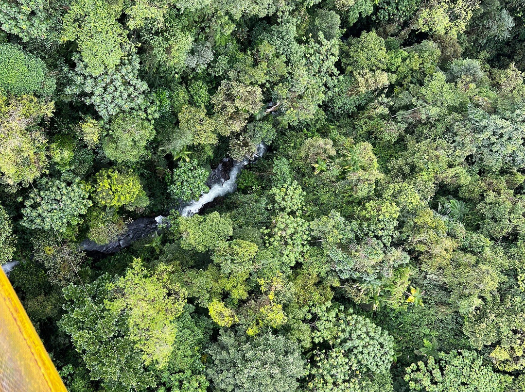 Mindo Canopy Adventure景点图片