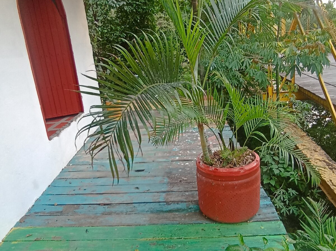 Puente Navarro-Honda必去景点