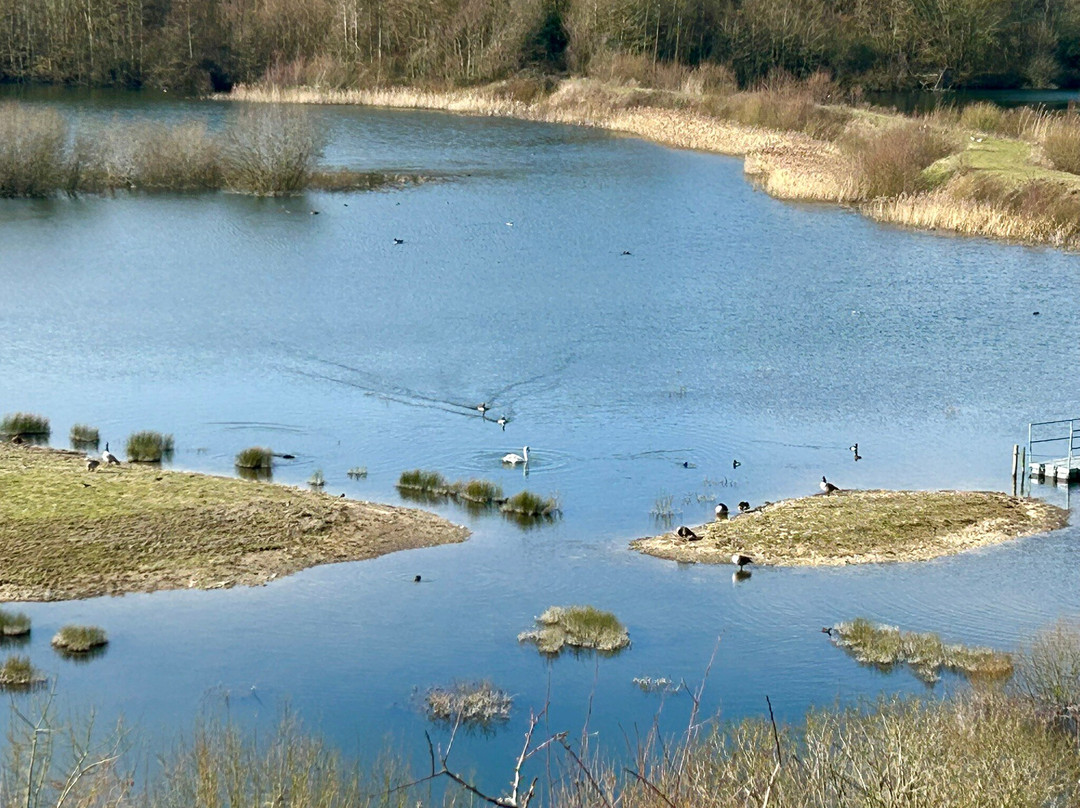 College Lake Nature Reserve景点图片